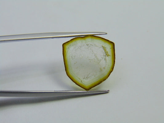 11.10ct Watermelon Tourmaline 17x18mm