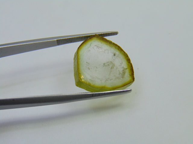 11.10ct Watermelon Tourmaline 17x18mm
