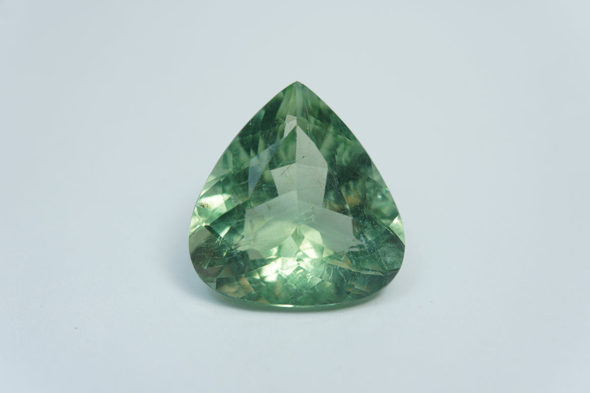 24.50ct Prasiolite 23x20mm