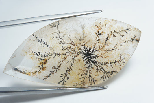 53.05ct Dendrite 50x25mm