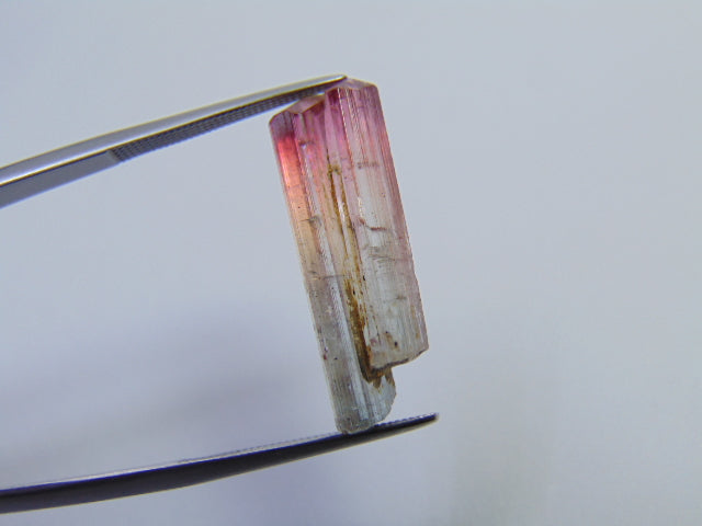 9.70ct Tourmaline Bicolor Piece 25x7mm
