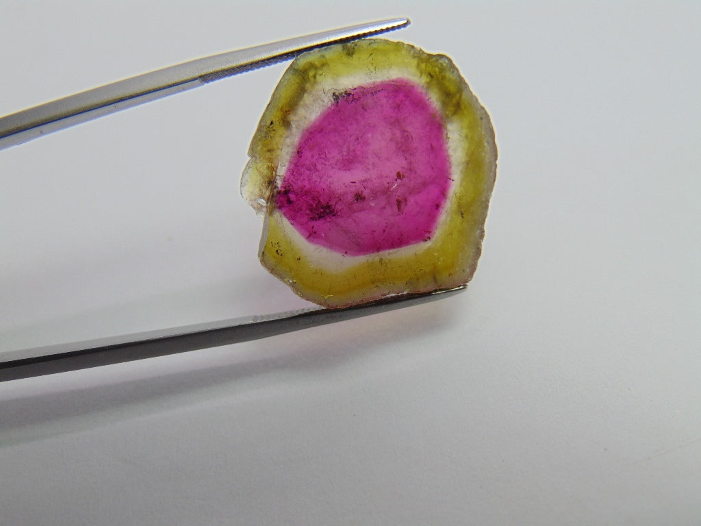 18.20ct Watermelon Tourmaline 24x23mm