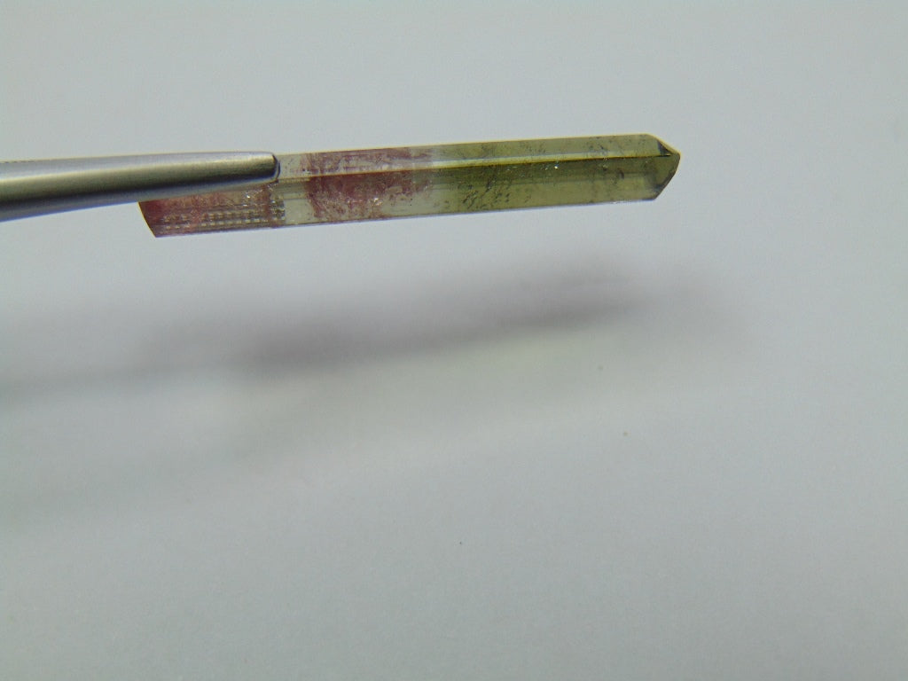 8.80ct Tourmaline Bicolor 30x7mm