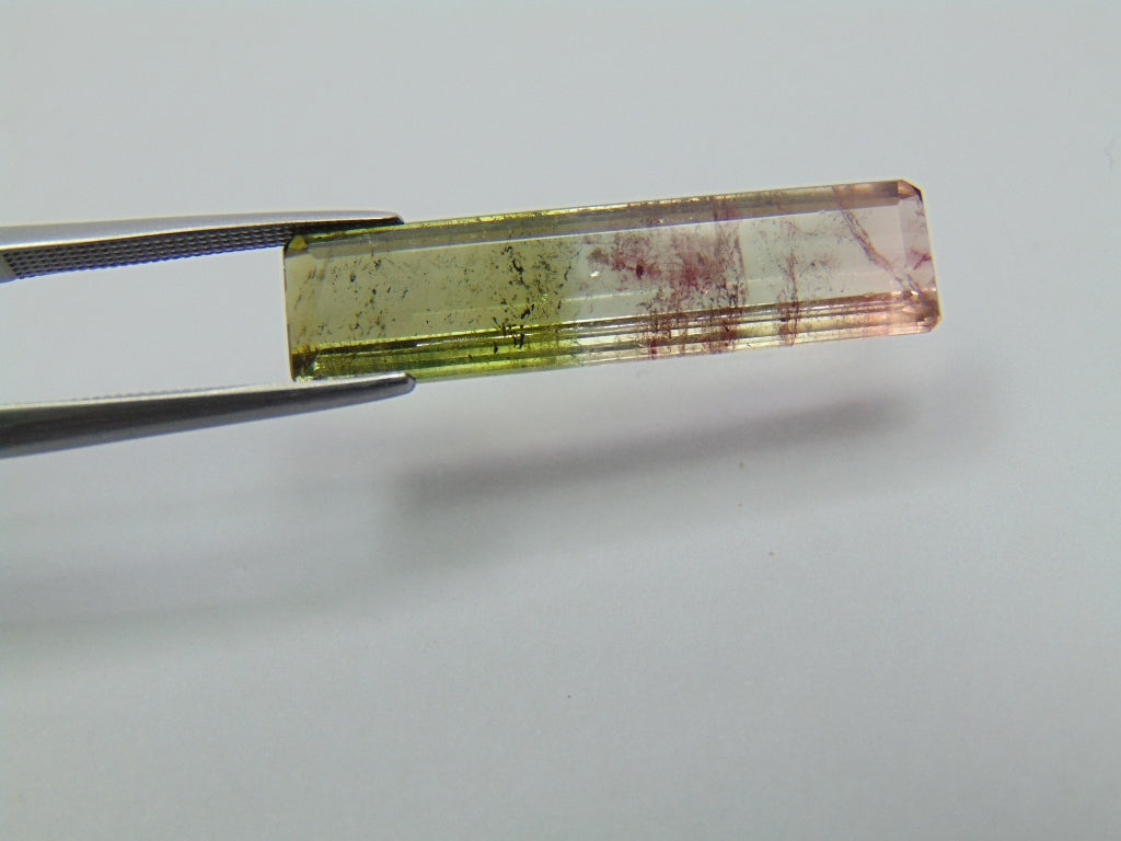 8.80ct Tourmaline Bicolor 30x7mm