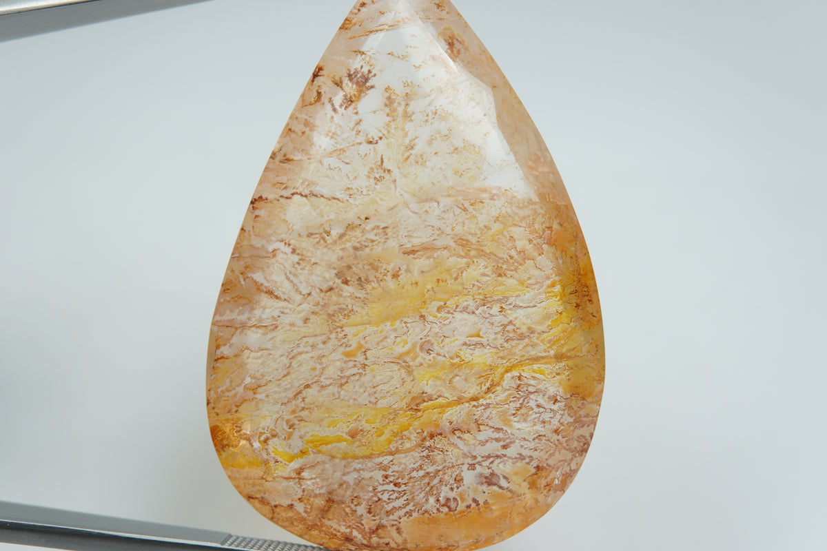 58.89ct Dendrite 43x29mm