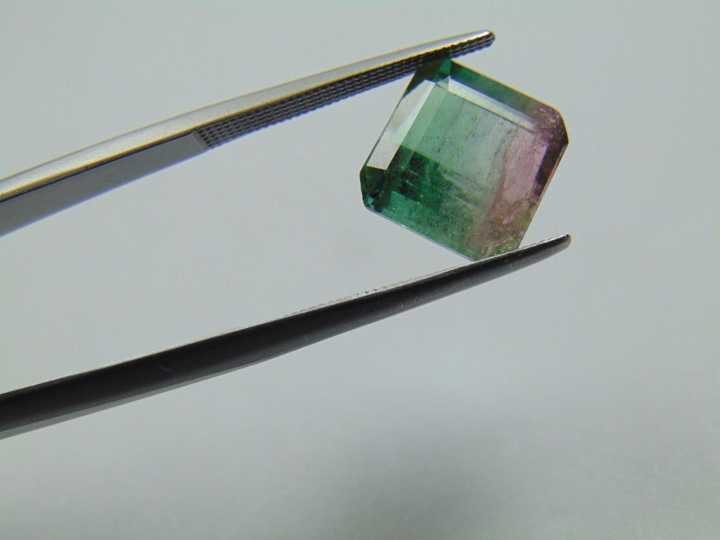 6ct Tourmaline Bicolor 10mm