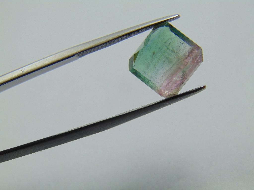 6ct Tourmaline Bicolor 10mm