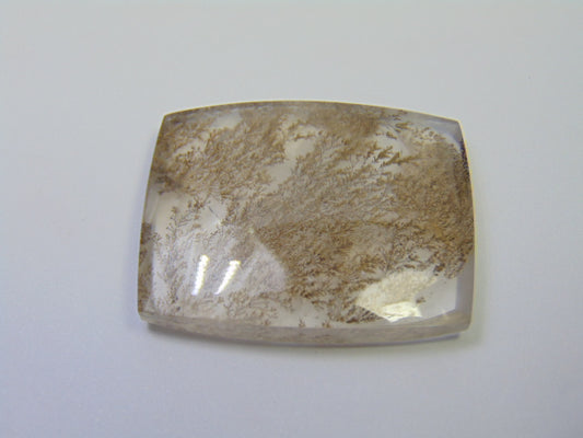 99.20ct Dendrite 39x30mm