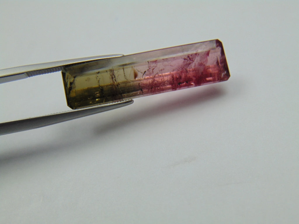 12.48ct Tourmaline Bicolor 30x8mm