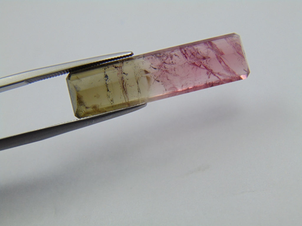 12.48ct Tourmaline Bicolor 30x8mm