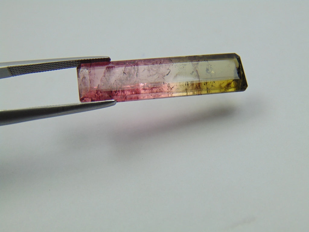12.48ct Tourmaline Bicolor 30x8mm