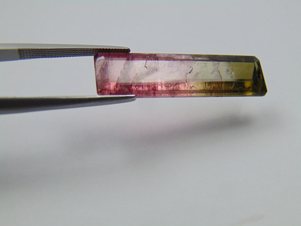 12.48ct Tourmaline Bicolor 30x8mm