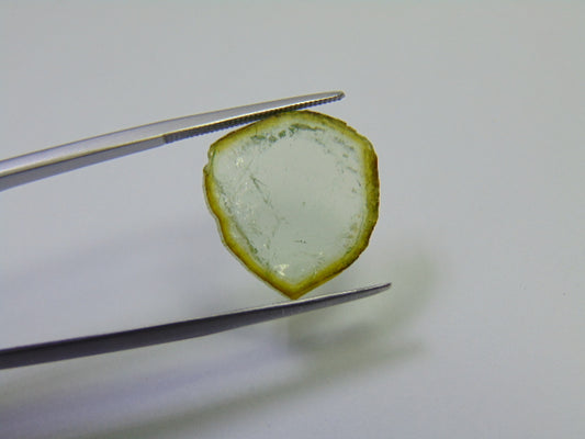 8.65ct Watermelon Tourmaline 18x17mm