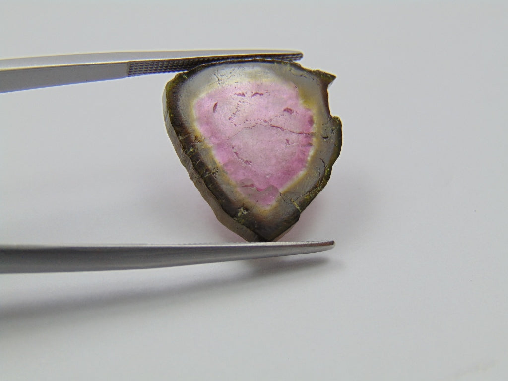 12ct Watermelon Tourmaline 20x18mm