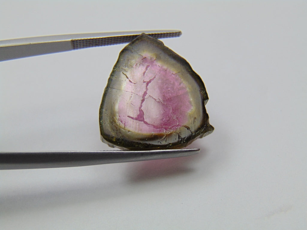 12ct Watermelon Tourmaline 20x18mm