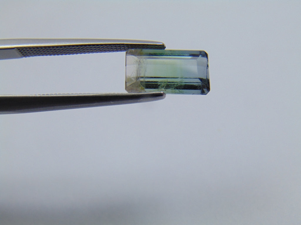 2.40ct Tourmaline Bicolor 10x6mm