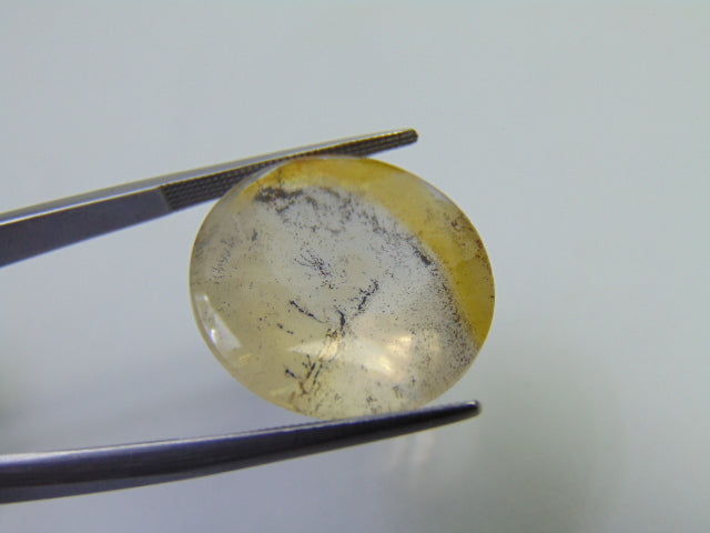 21.90ct Dendrite 20mm
