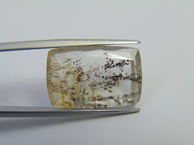 19.95ct Dendrite 22x15mm