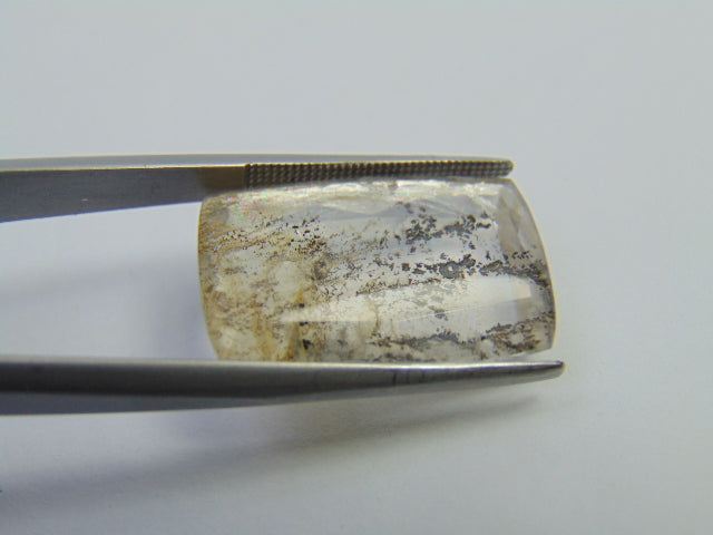 19.95ct Dendrite 22x15mm