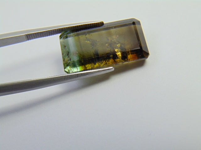 15.05ct Tourmaline Bicolor 18x11mm