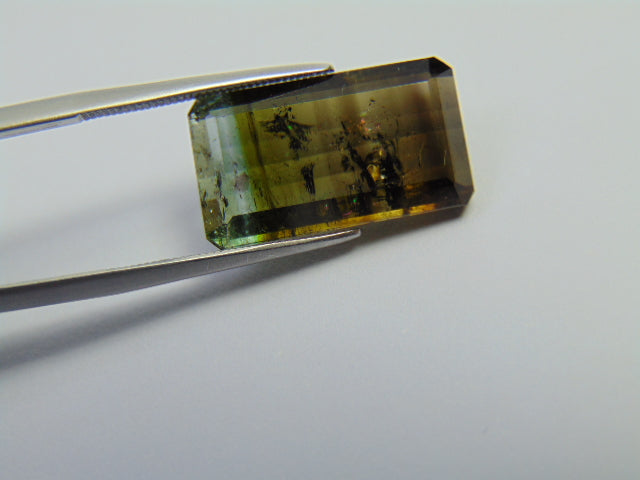15.05ct Tourmaline Bicolor 18x11mm