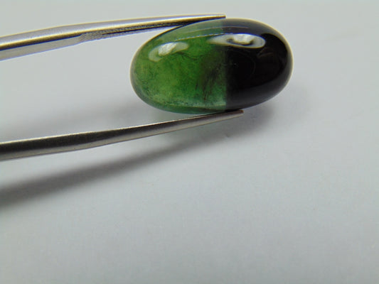 10.10ct Tourmaline Bicolor 19x11mm