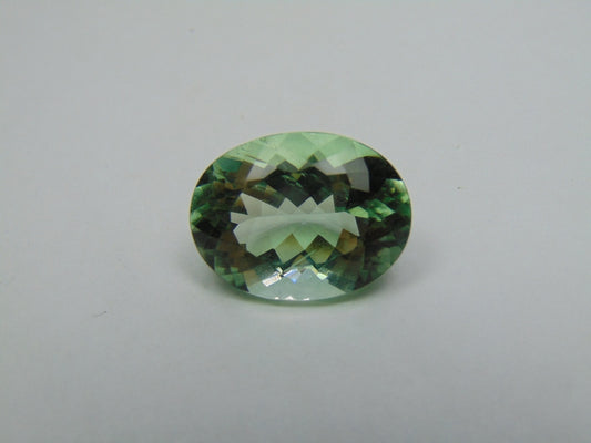 20.10ct Prasiolite 20x15mm