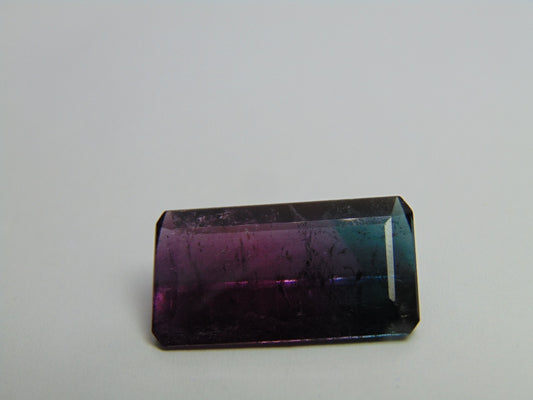 20.35ct Tourmaline Bicolor 24x13mm