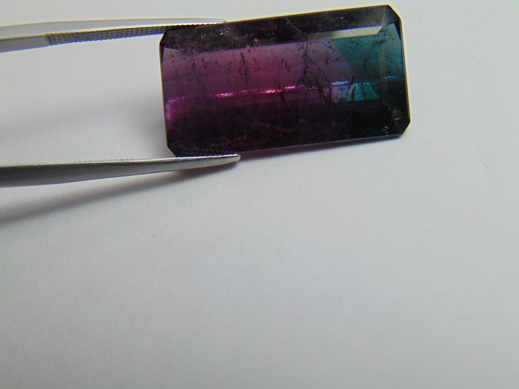 20.35ct Tourmaline Bicolor 24x13mm