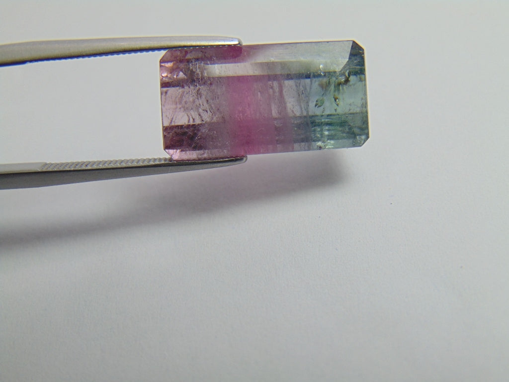 11ct Tourmaline Bicolor 18x9mm