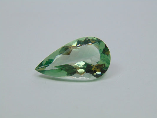 19.10ct Prasiolite 21x15mm