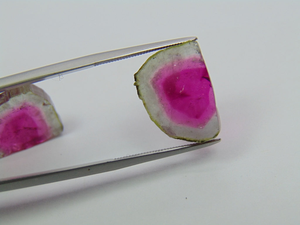 19.35ct Watermelon Tourmaline Pair 17x13mm