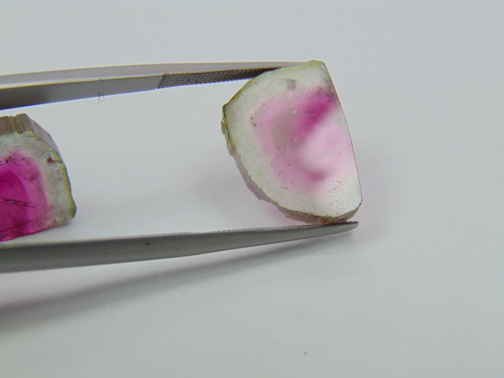 19.35ct Watermelon Tourmaline Pair 17x13mm