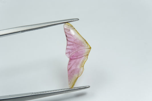 3.54ct Tourmaline bicolor 21x8mm
