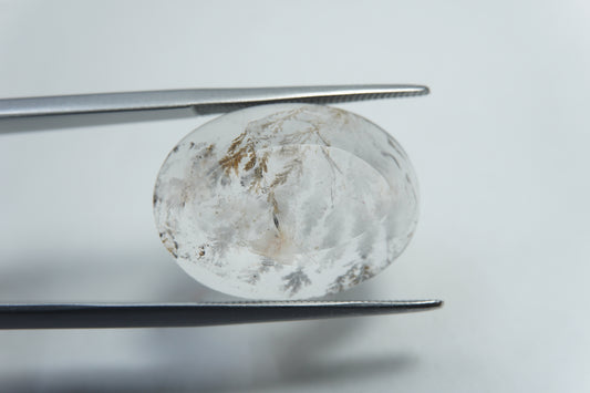 14.20ct Dendrite 20x15mm
