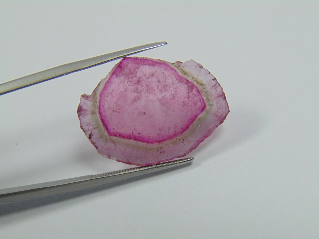 10.90ct Watermelon Tourmaline 26x19mm