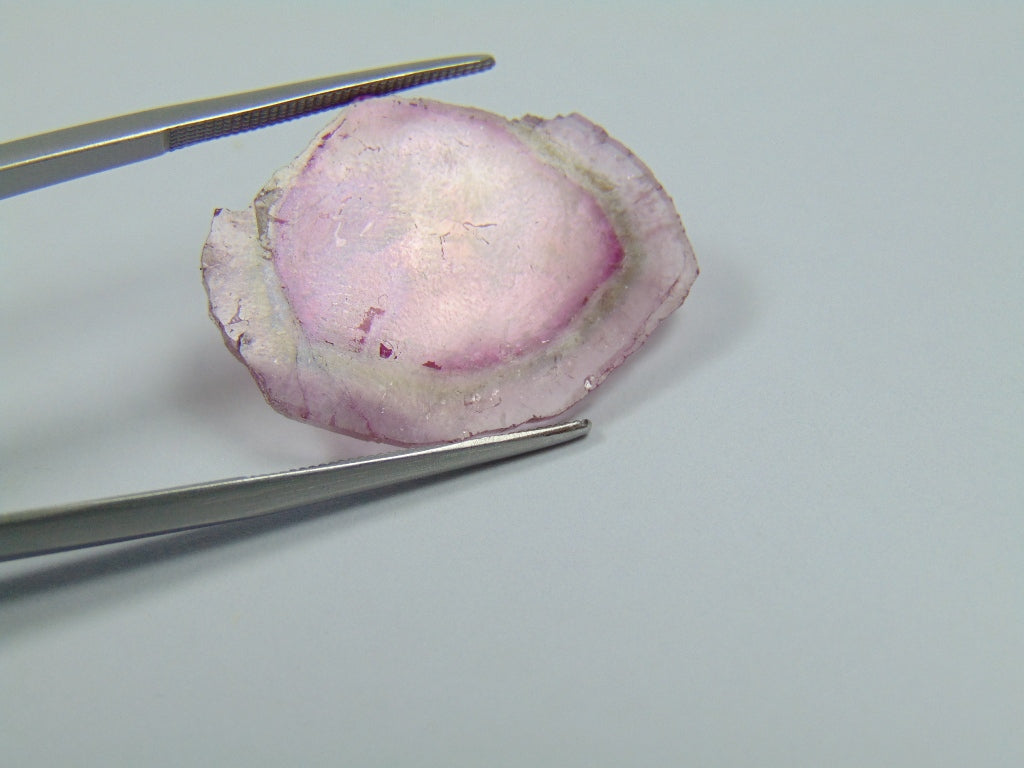 10.90ct Watermelon Tourmaline 26x19mm