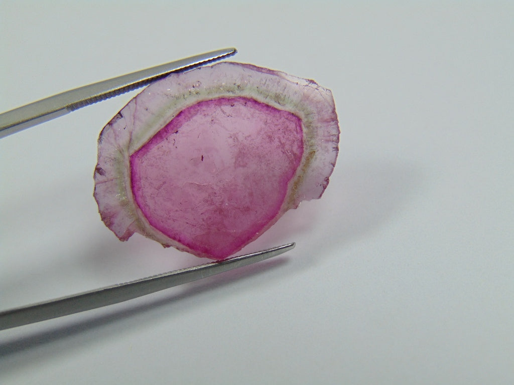 10.90ct Watermelon Tourmaline 26x19mm