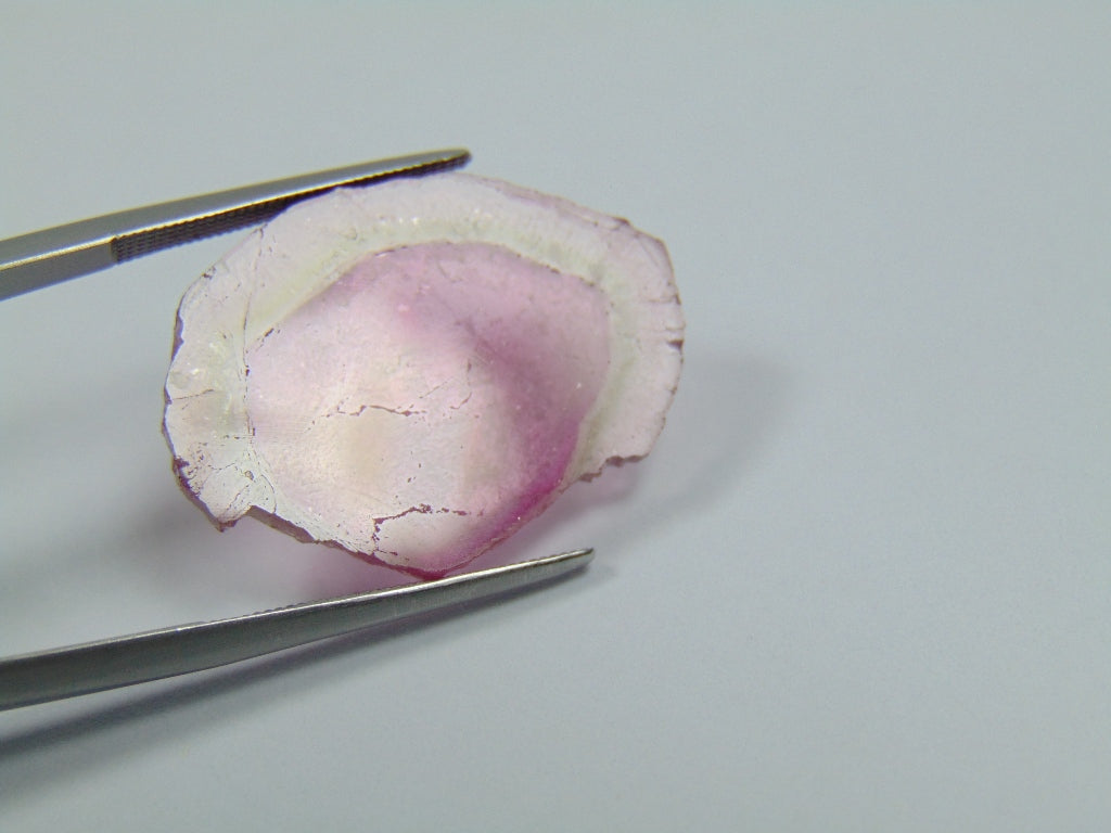 10.90ct Watermelon Tourmaline 26x19mm
