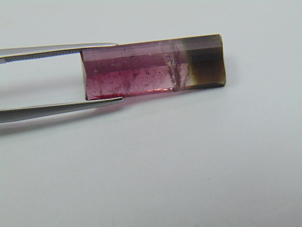 9.75ct Tourmaline Bicolor 22x8mm