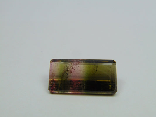 30.30ct Tourmaline Bicolor 27x14mm