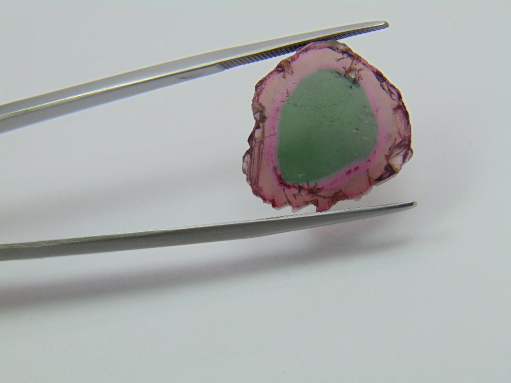12.85ct Watermelon Tourmaline 18x17mm