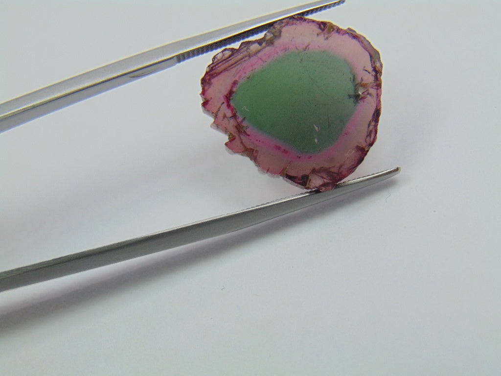 12.85ct Watermelon Tourmaline 18x17mm