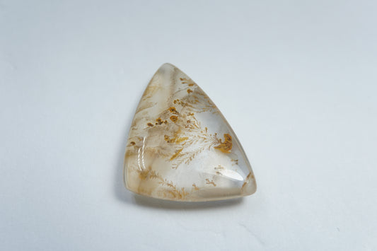 16.85ct Dendrite 23x19mm