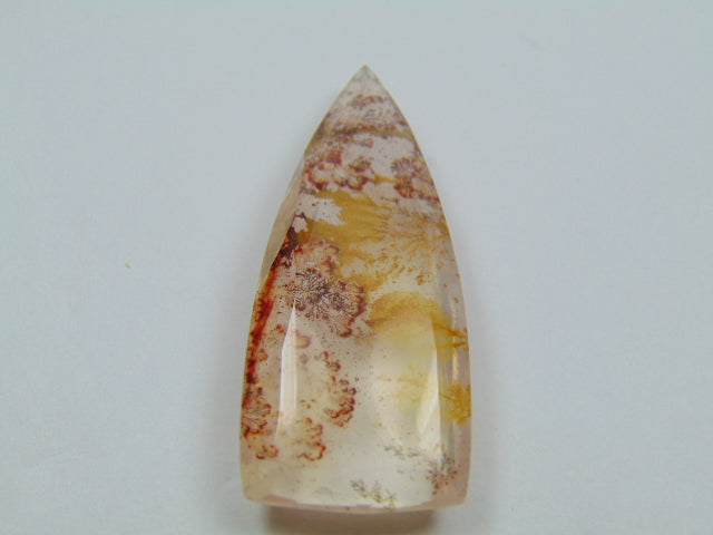 61.80ct Dendrite 48x18mm