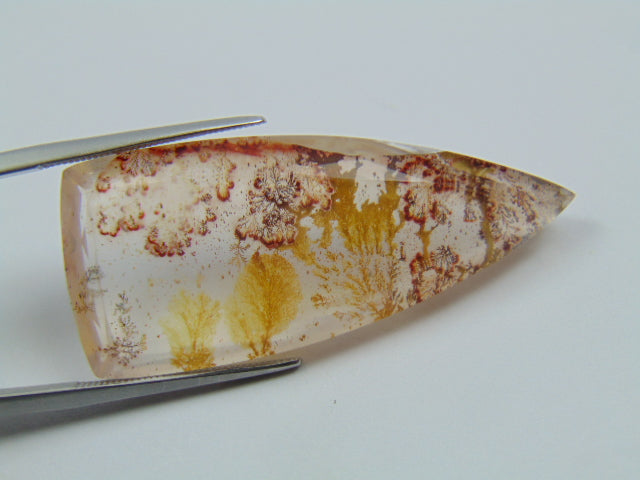 61.80ct Dendrite 48x18mm