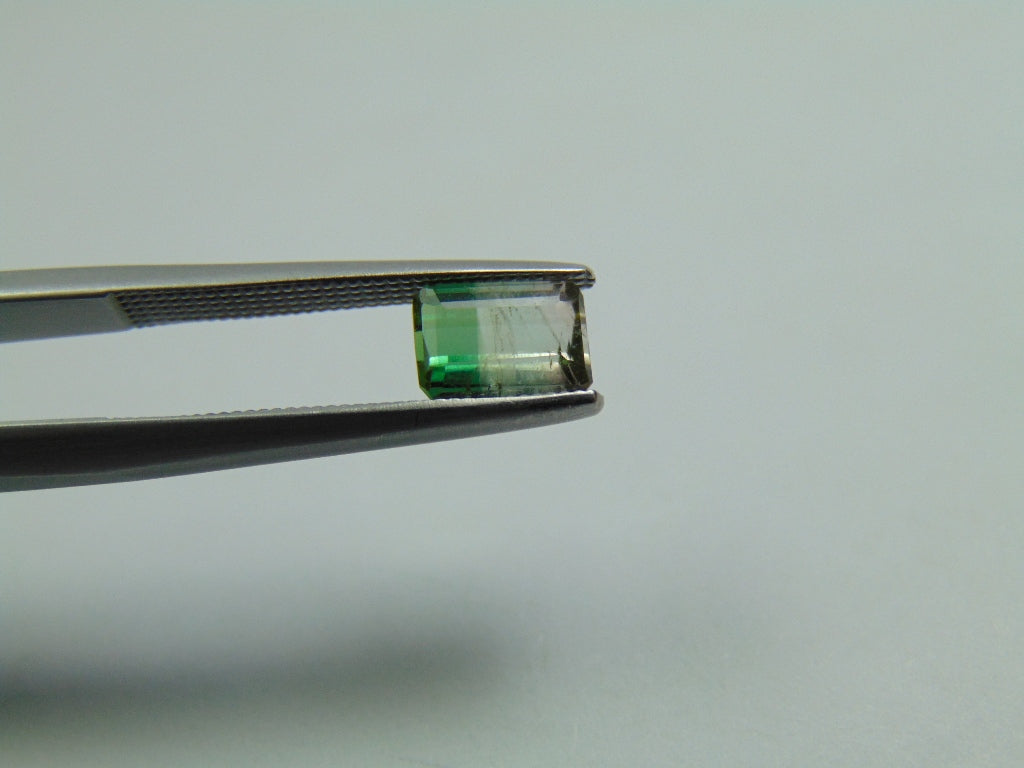 1ct Tourmaline Bicolor 6x5mm