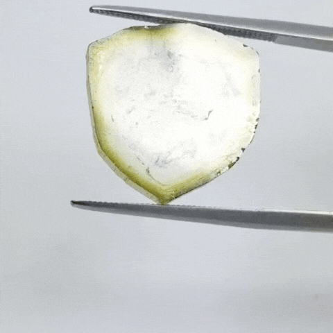 11.10ct Watermelon Tourmaline 17x18mm