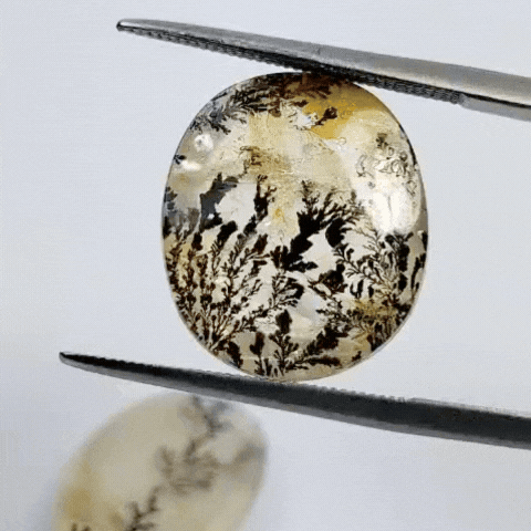 16.30ct Dendrite 16x14mm 17x13mm