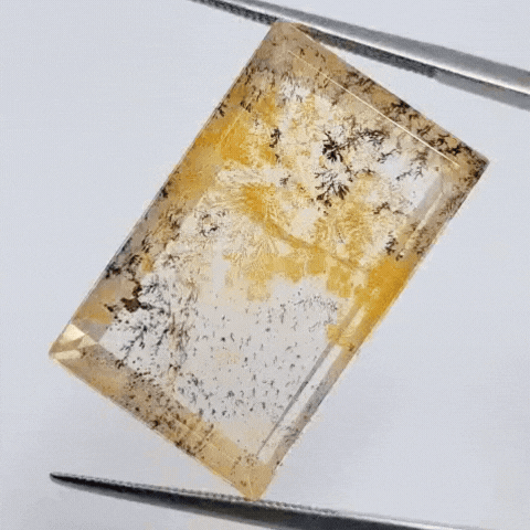 25.05ct Dendrite 26x17mm